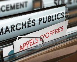 Les avis de marchés publics